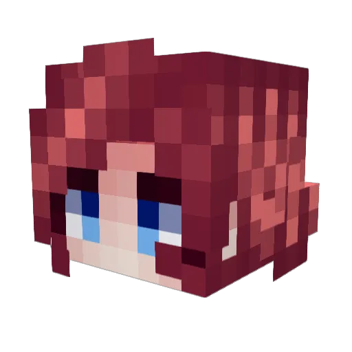 wardnoos Minecraft avatar head, 3D render