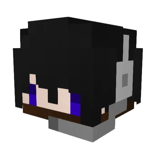 wardsean Minecraft avatar head, 3D render
