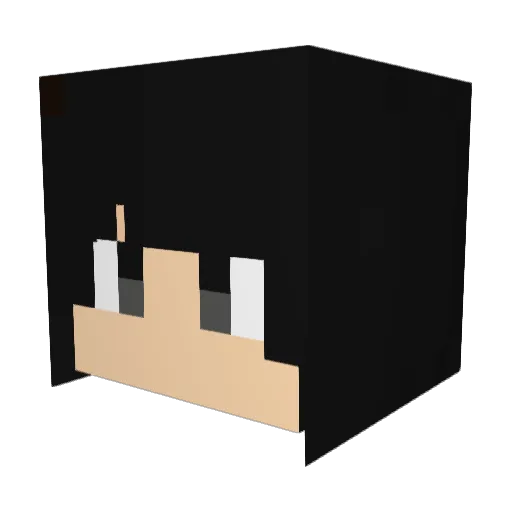 wardxxxx Minecraft avatar head, 3D render