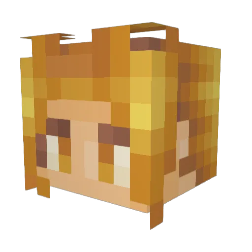 warhammer9ca Minecraft avatar head, 3D render