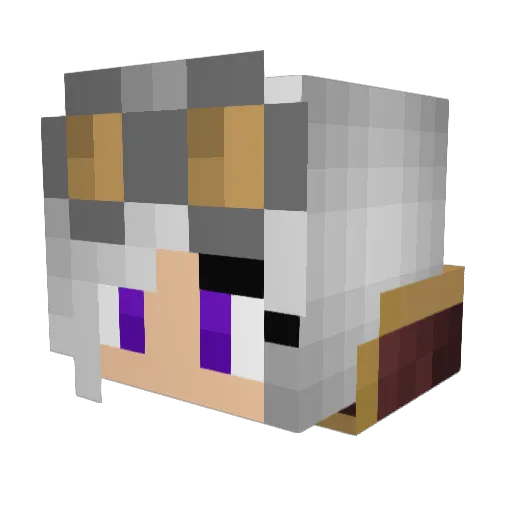 warhead961 Minecraft avatar head, 3D render
