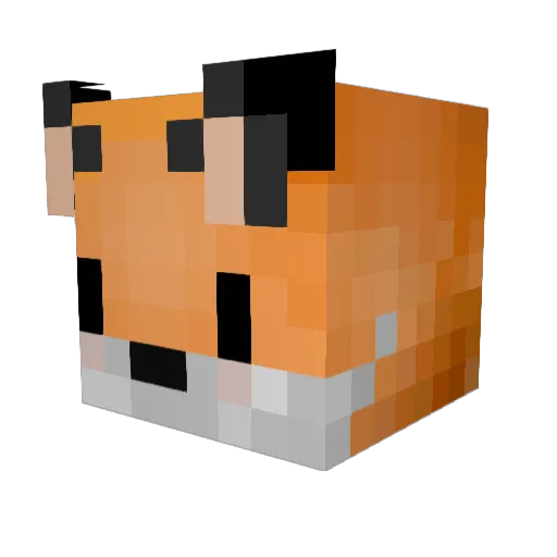 warlis Minecraft avatar head, 3D render