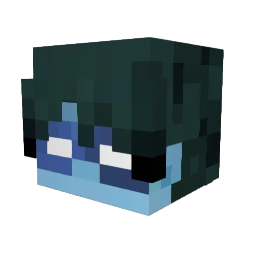 warlos_ Minecraft avatar head, 3D render