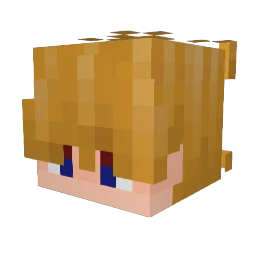 warmnost Minecraft avatar head, 3D render