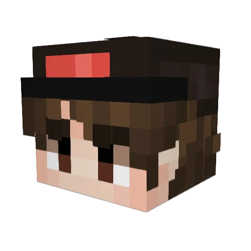 warpig17 Minecraft avatar head, 3D render