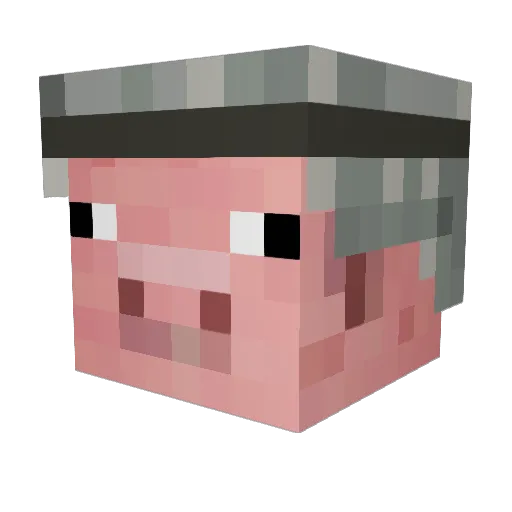 warr_pig Minecraft avatar head, 3D render