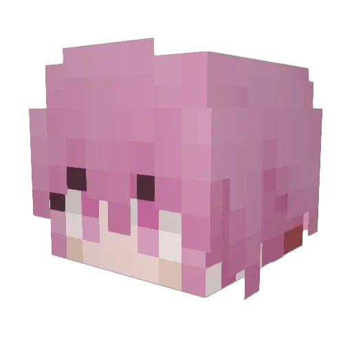 warren8777 Minecraft avatar head, 3D render