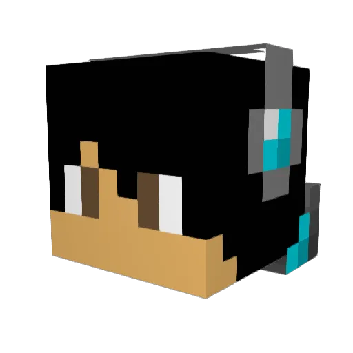 warri0rkid Minecraft avatar head, 3D render