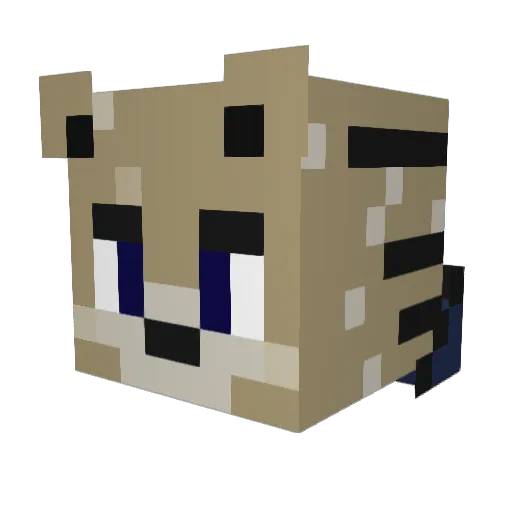warrior2522 Minecraft avatar head, 3D render