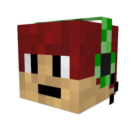 warrior654 Minecraft avatar head, 3D render