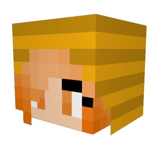 warrior8cats Minecraft avatar head, 3D render