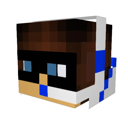 warriorcatkid123 Minecraft avatar head, 3D render