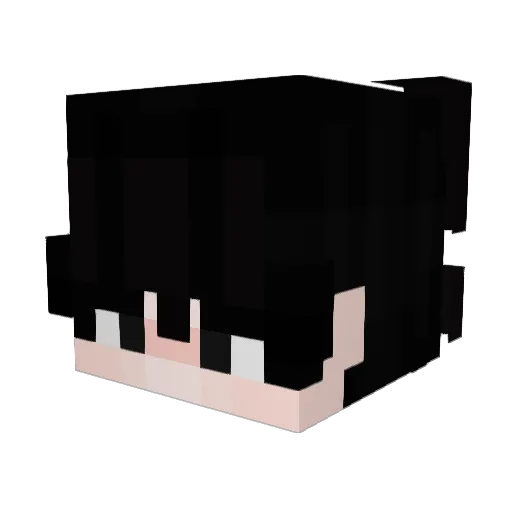 warsaw_power Minecraft avatar head, 3D render