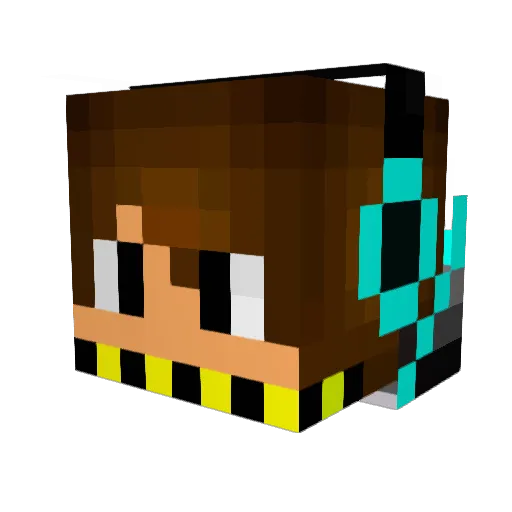 wart101 Minecraft avatar head, 3D render