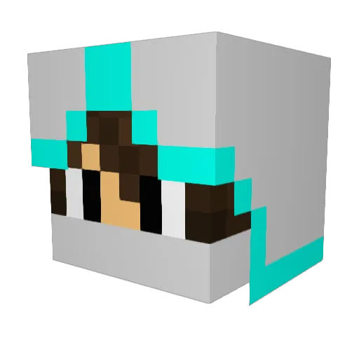 warvin22 Minecraft avatar head, 3D render