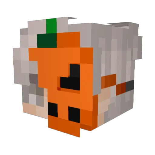 wary14 Minecraft avatar head, 3D render
