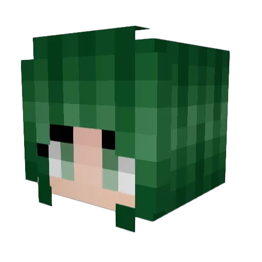 wasabee Minecraft avatar head, 3D render