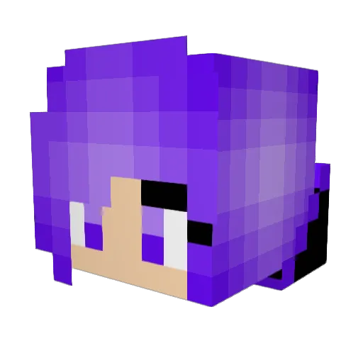 wasabi13 Minecraft avatar head, 3D render