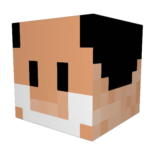 wasabi8201 Minecraft avatar head, 3D render