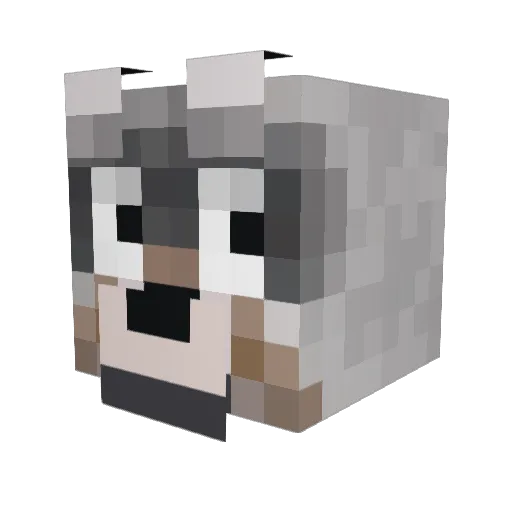 wasabistuff Minecraft avatar head, 3D render