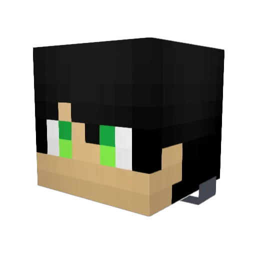 wasao3109 Minecraft avatar head, 3D render