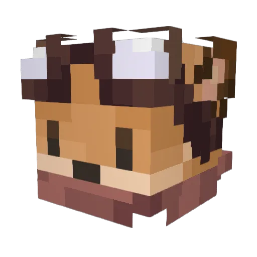 wasaris Minecraft avatar head, 3D render