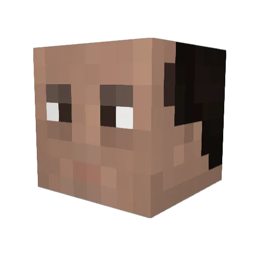 wasbakplasser Minecraft avatar head, 3D render