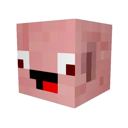 wascda Minecraft avatar head, 3D render