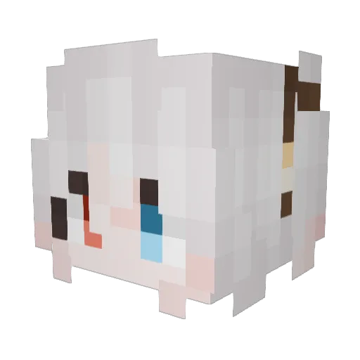wasd1hgf21h15 Minecraft avatar head, 3D render