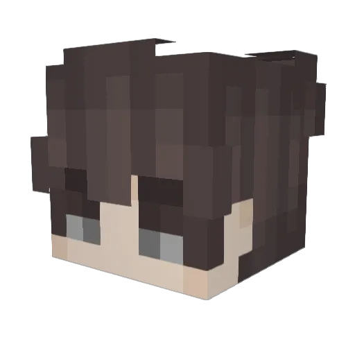 wasd2002317 Minecraft avatar head, 3D render