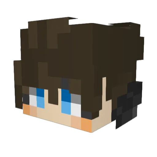 wasd95 Minecraft avatar head, 3D render