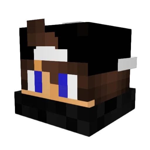 wasd9 Minecraft avatar head, 3D render