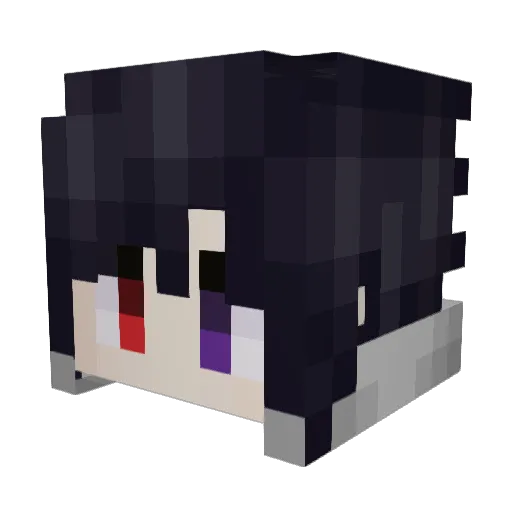 wasdd11 Minecraft avatar head, 3D render