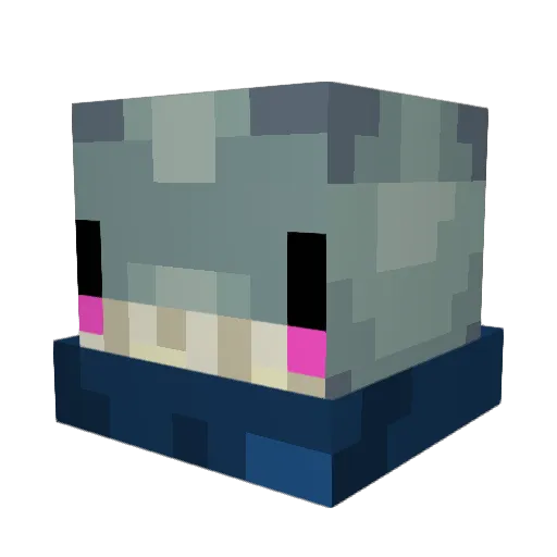 wasdt0move Minecraft avatar head, 3D render
