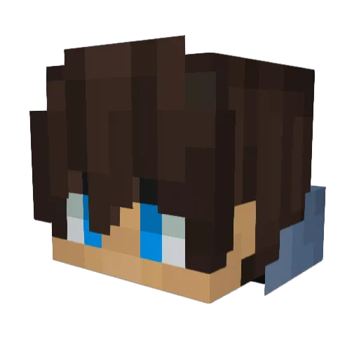 wasdz1 Minecraft avatar head, 3D render