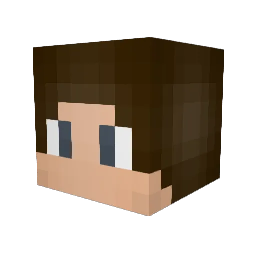 washburn808 Minecraft avatar head, 3D render