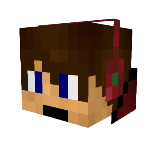 washedbark Minecraft avatar head, 3D render