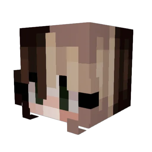 washthebug Minecraft avatar head, 3D render