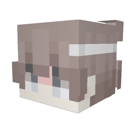 washtub Minecraft avatar head, 3D render