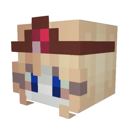 wasink Minecraft avatar head, 3D render