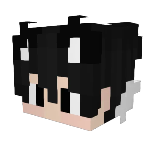 wasiq12w33 Minecraft avatar head, 3D render