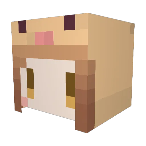 wasoru Minecraft avatar head, 3D render