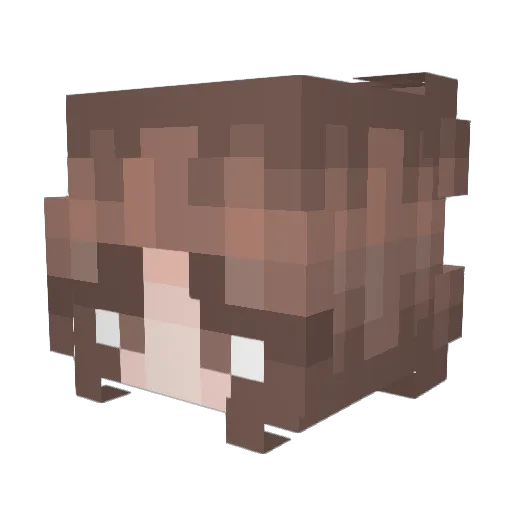 wassabiwendy Minecraft avatar head, 3D render
