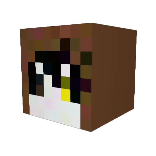 wassann1118 Minecraft avatar head, 3D render