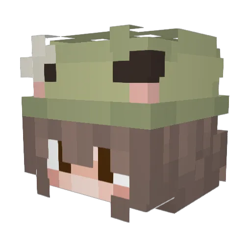 wasserkocher06 Minecraft avatar head, 3D render