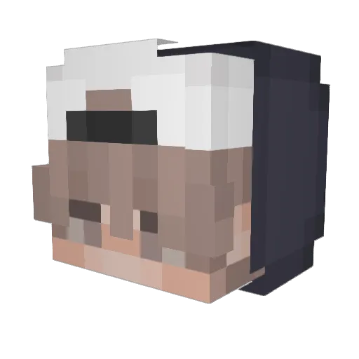 wasserleitunq Minecraft avatar head, 3D render