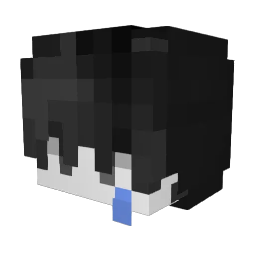 wasssssssser Minecraft avatar head, 3D render