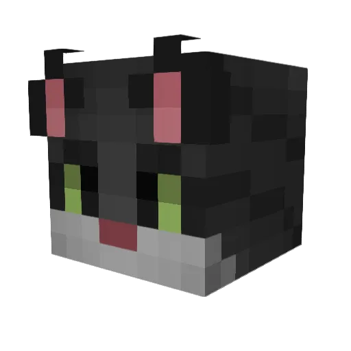 wassup1717 Minecraft avatar head, 3D render