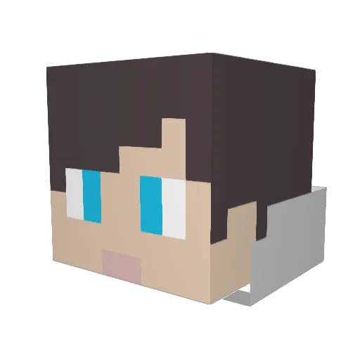 wassy1225 Minecraft avatar head, 3D render