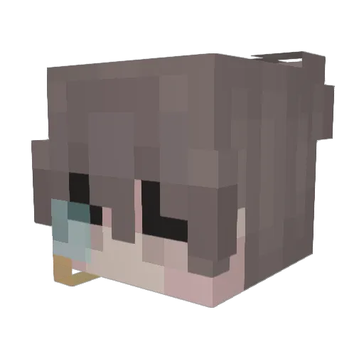 wast3 Minecraft avatar head, 3D render